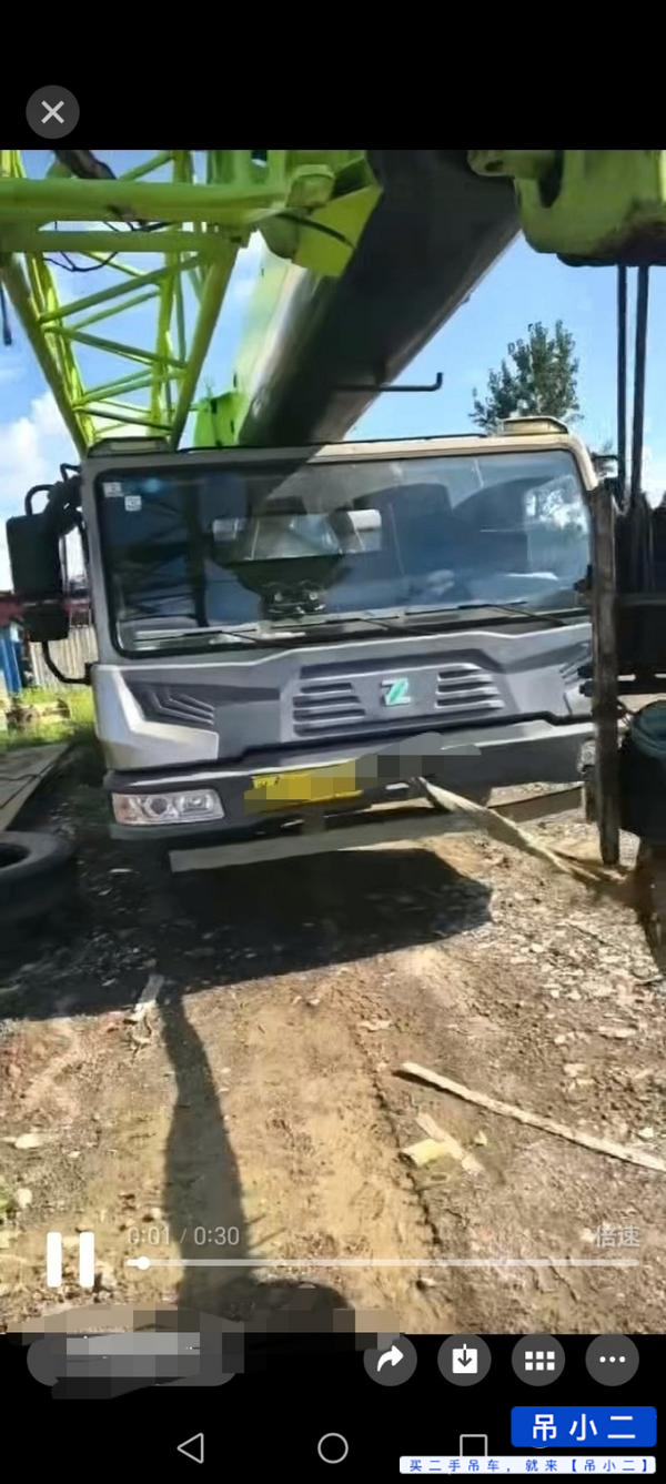 Buy Zoomlion 250v4 Used Crane