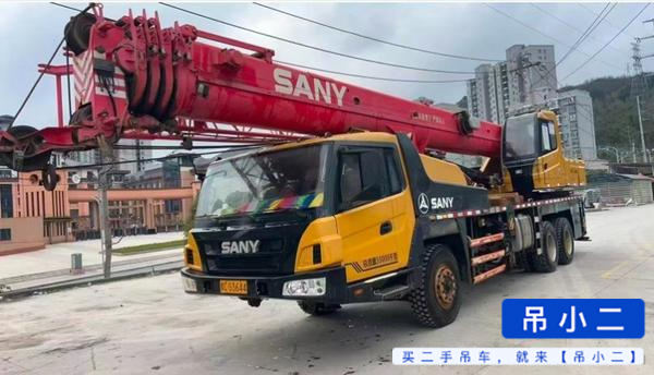 Used Sany 250S Crane 2016 Model / 3