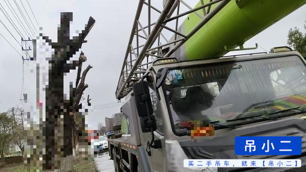 Buy Zoomlion 250V Used Crane