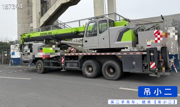 Acheter Grue Zoomlion 250a d'occasion / 3