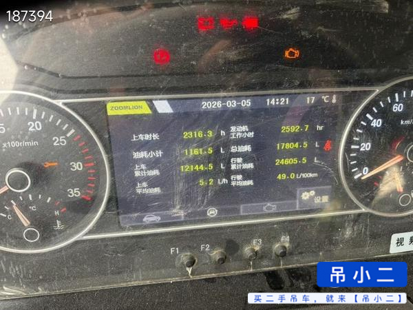 Acheter Grue Zoomlion 250a d'occasion / 2