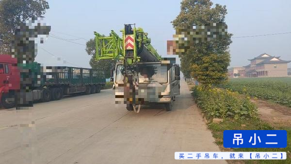 Buy Zoomlion 250v Used Crane