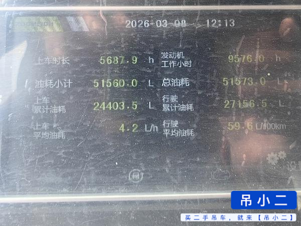 Buy Zoomlion 25lE Used Crane / 5