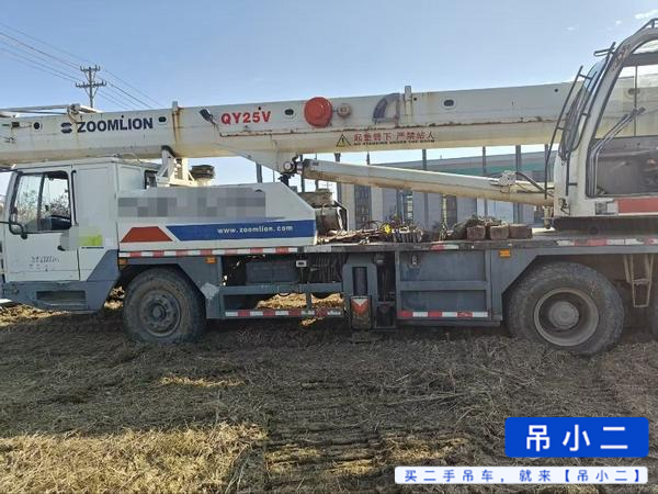 Buy Zoomlion 25v4 Used Crane