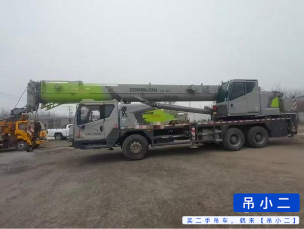 Buy Zoomlion 250V Used Crane