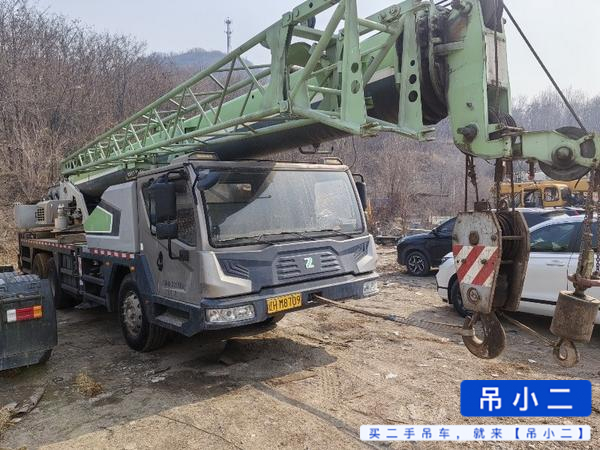 Buy Zoomlion 251E Used Crane / 2