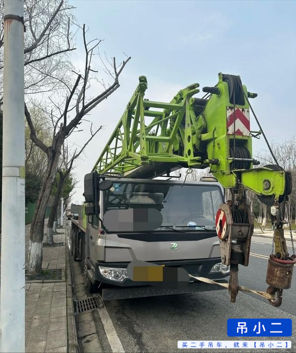 Buy Zoomlion 160V Used Crane