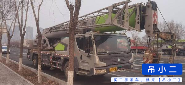 Buy Zoomlion 250V Used Crane / 2