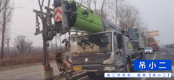 Buy Zoomlion 250V Used Crane