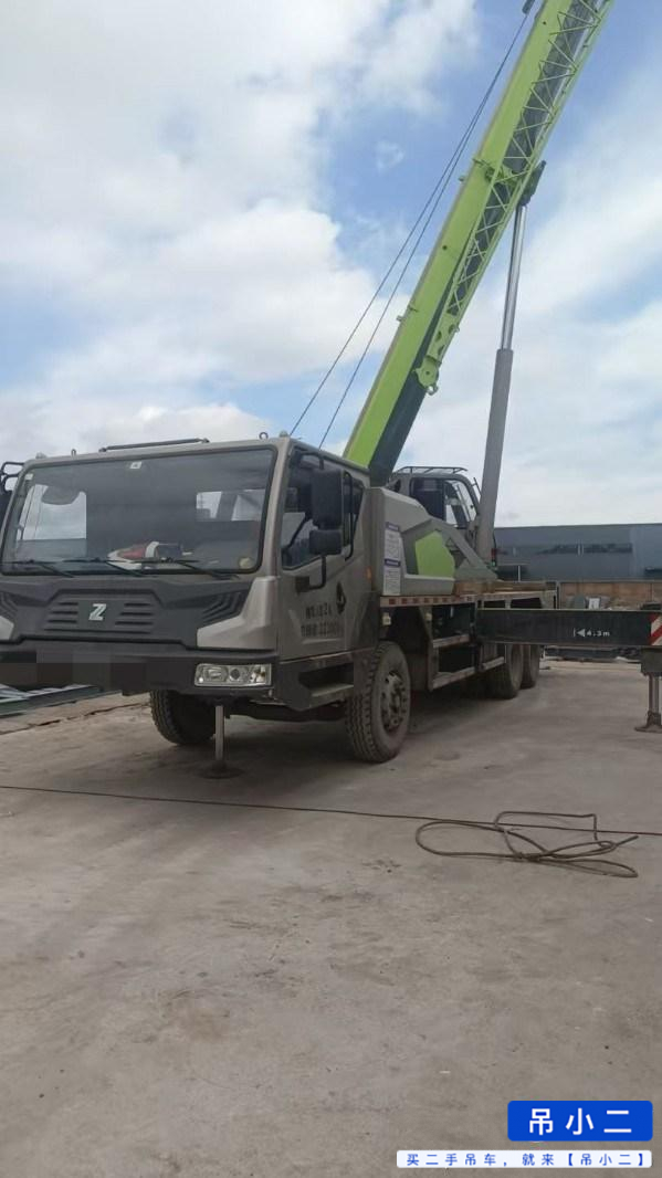 Acheter Grue Zoomlion 250A5 d'occasion / 3
