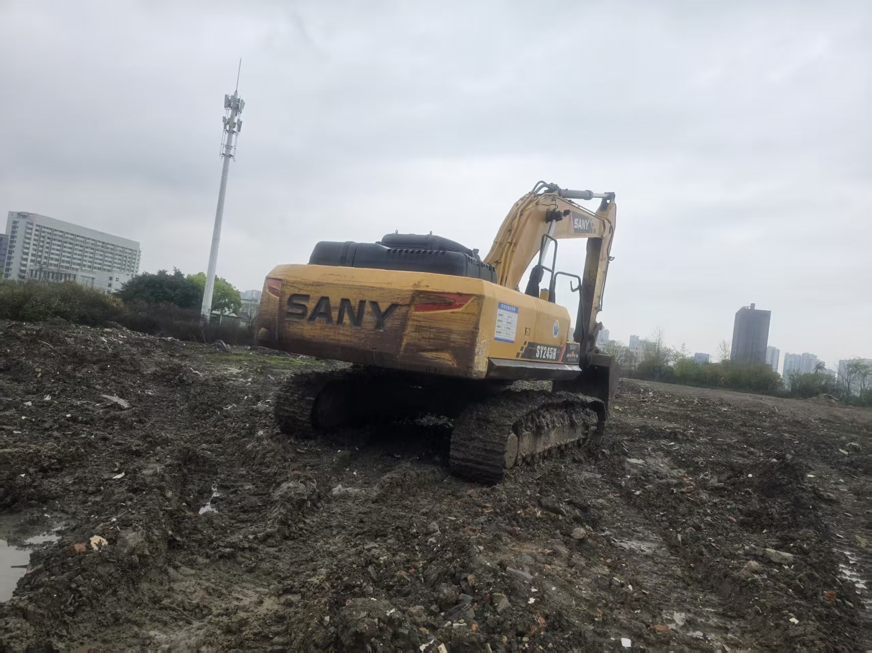 Buy Sany SY245H Used Excavator / 3