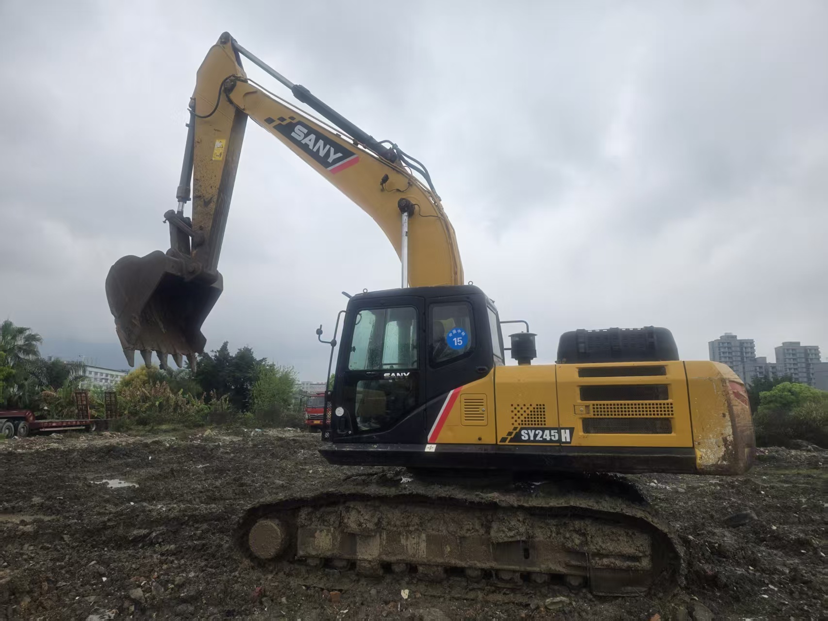 Buy Sany SY245H Used Excavator / 2