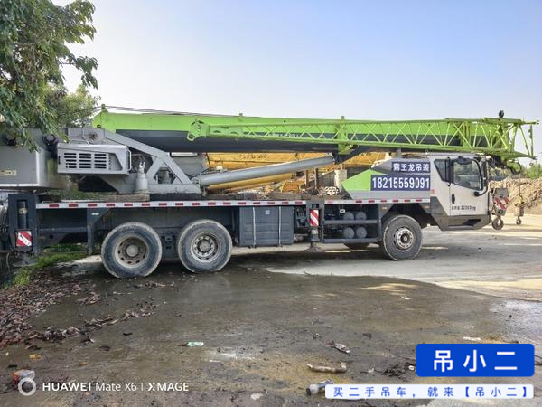 Acheter Grue Zoomlion 250a d'occasion / 3