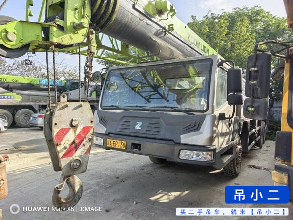 Buy Zoomlion 250a Used Crane
