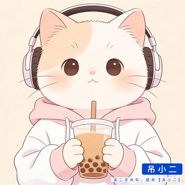 Buy XCMG Used Crane / 2