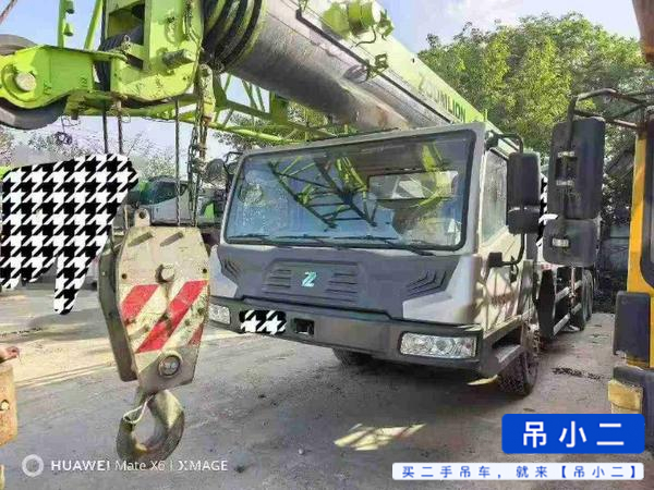 Acheter Zoomlion 250A D'occasion Grue