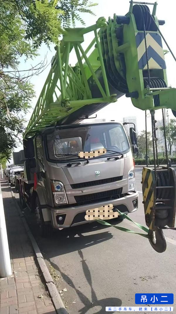 Buy Zoomlion 250A5 Used Crane