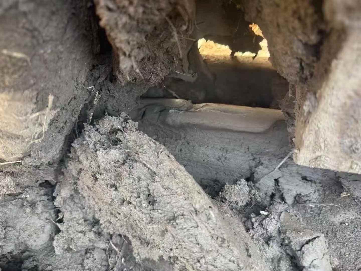 Buy Sany 205C-8 Used Excavator / 6