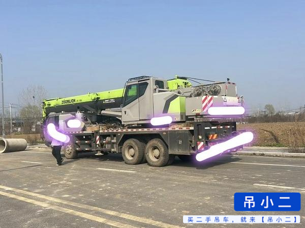 Buy Zoomlion 300H Used Crane