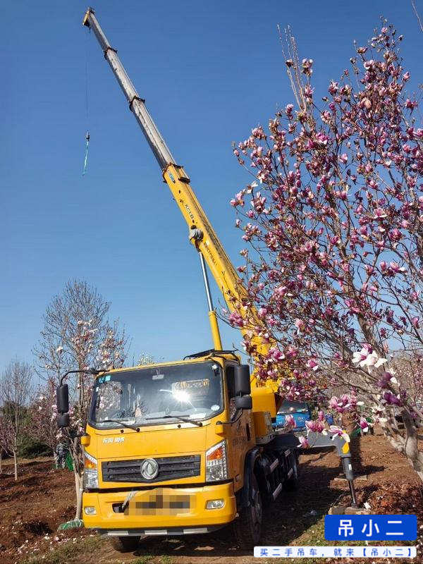 Buy XCMG xct8 Used Crane / 2