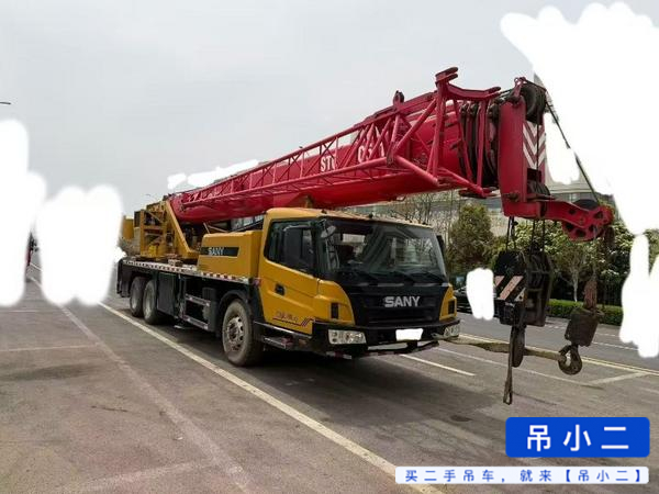 Buy Sany 25c5 Used Crane / 2