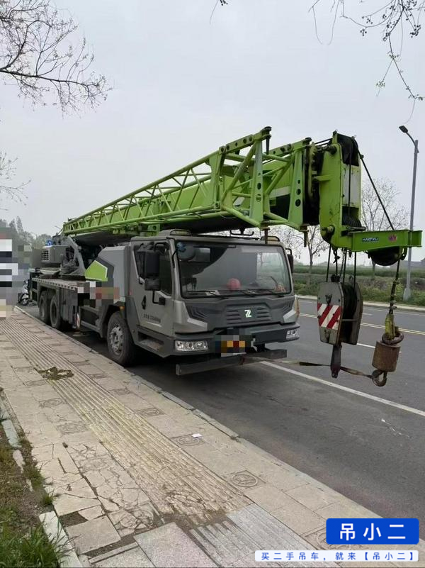 Buy Zoomlion 250H Used Crane