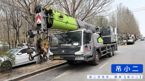 Buy Zoomlion 250V Used Crane