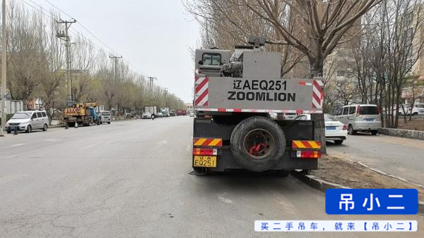 Buy Zoomlion 250V Used Crane / 3