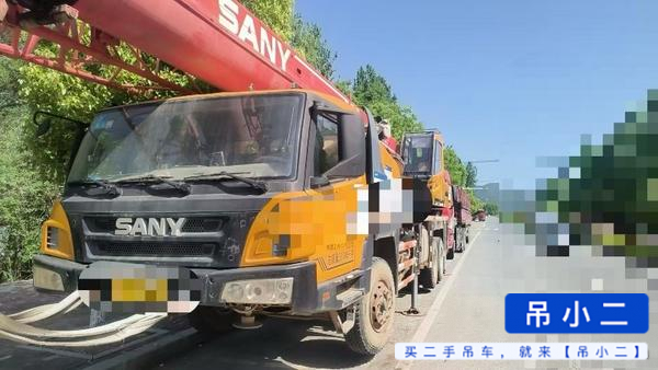 Buy Sany 250S Used Crane / 2