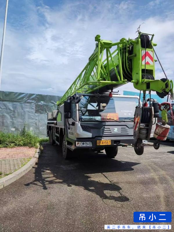 Buy Zoomlion 250a Used Crane