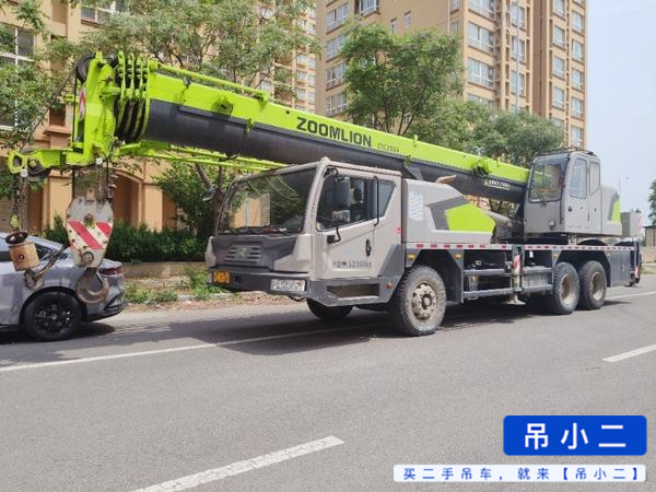 Buy Zoomlion 250A Used Crane