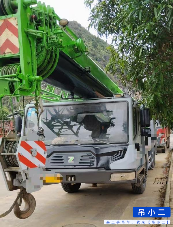 Buy Zoomlion 250V5 Used Crane