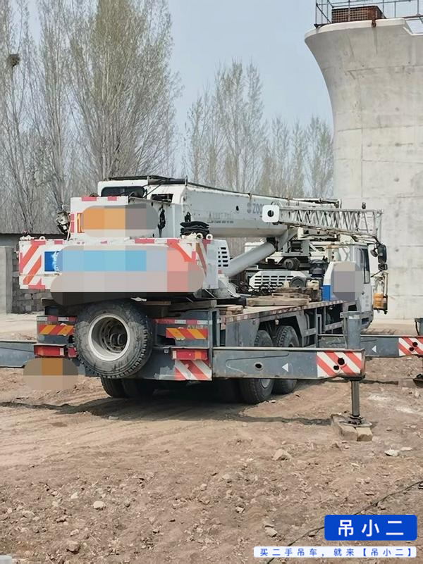 Buy Zoomlion 250V5 Used Crane