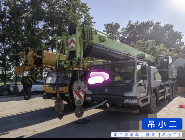 Buy Zoomlion 250H Used Crane