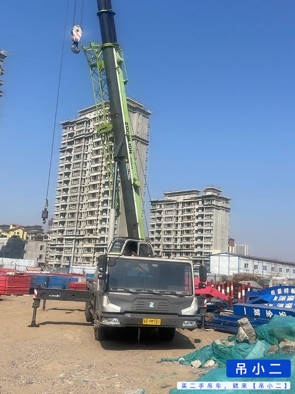 Buy Zoomlion ZTC201V551 Used Crane