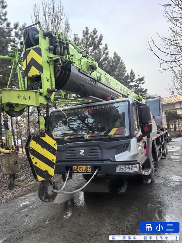 Buy Zoomlion 250A5 Used Crane