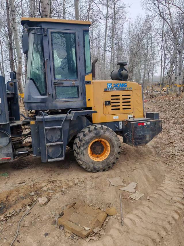 Buy XCMG Used Loader / 5