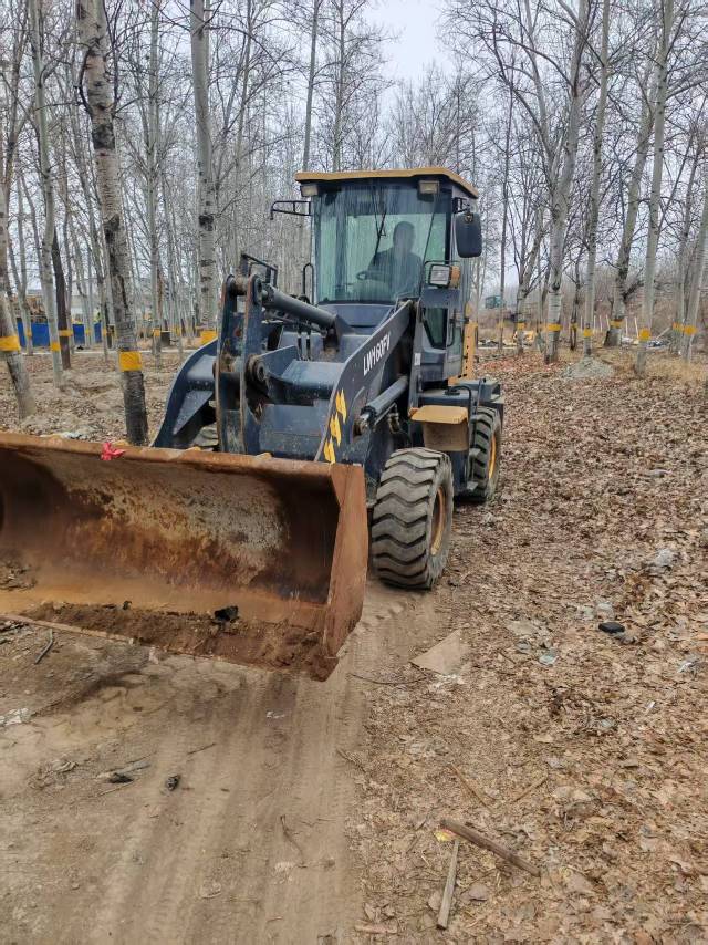 Buy XCMG Used Loader / 6