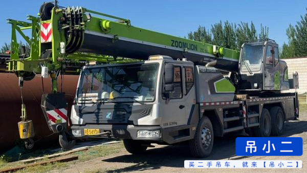 Comprar Zoomlion ZTC201V551 Usado Grúa
