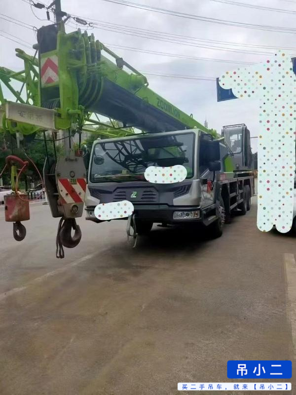 Acheter Grue Zoomlion 250A d'occasion / 2