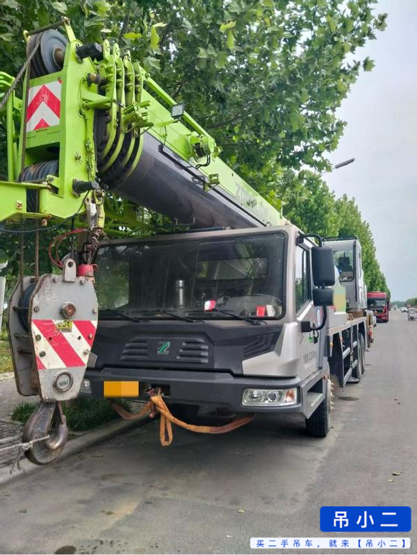 شراء رافعة Zoomlion 250A مستعملة / 2