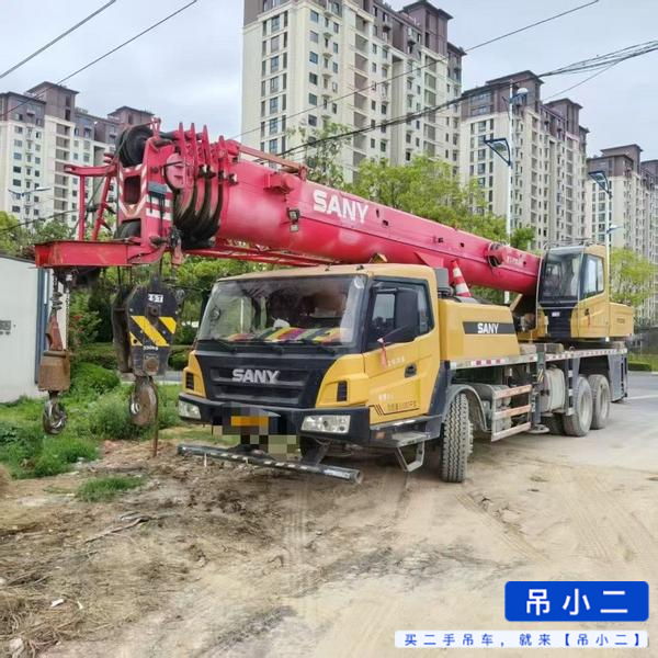 Buy Sany 250S Used Crane / 2