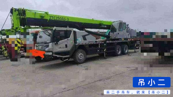 Comprar Zoomlion 250A Usado Grúa