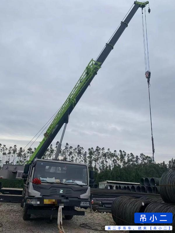 Acheter Zoomlion ZTC201V551 D'occasion Grue