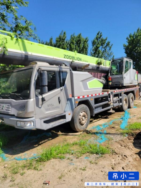Comprar Zoomlion ZTC251VE562 Usado Grúa