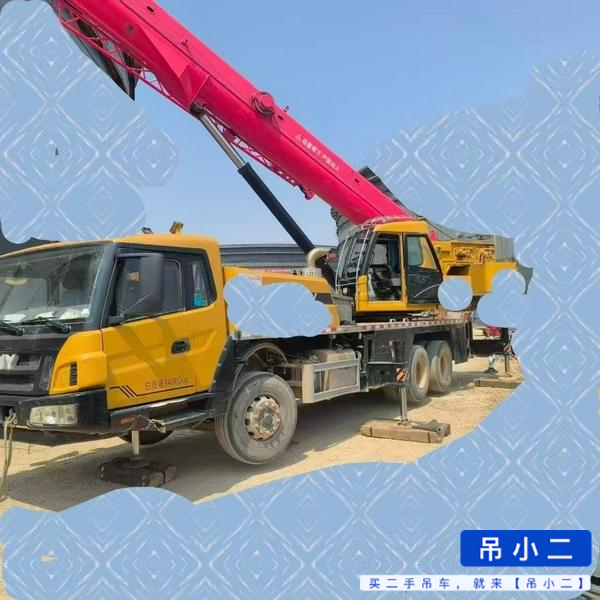 شراء رافعة Zoomlion 250H مستعملة / 2