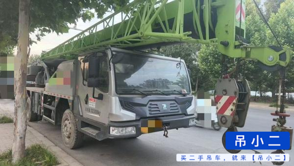 شراء رافعة Zoomlion 250A مستعملة / 3