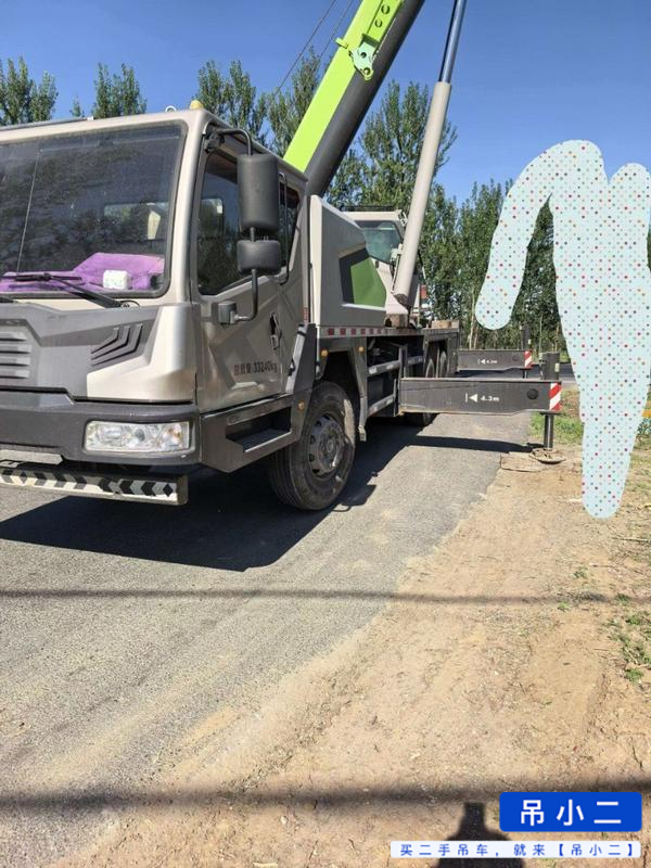 Comprar Zoomlion 250H Usado Grúa