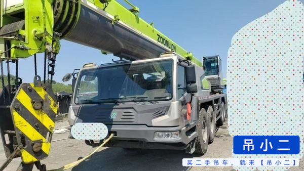 Comprar Zoomlion 80H5 Usado Grúa