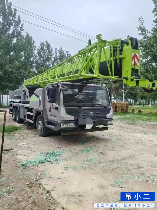 Acheter Zoomlion 250HE D'occasion Grue